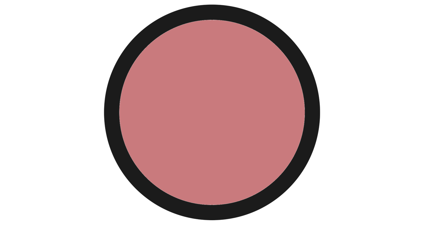 BLUSH CLARINS POLVERE